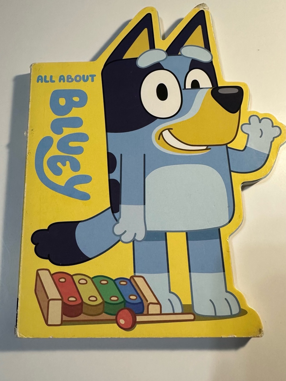 Bluey Board Book - All About Bluey